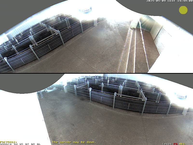 Shift-Reload to Refresh Image