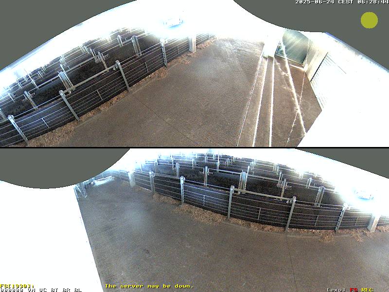 Camera Live Image