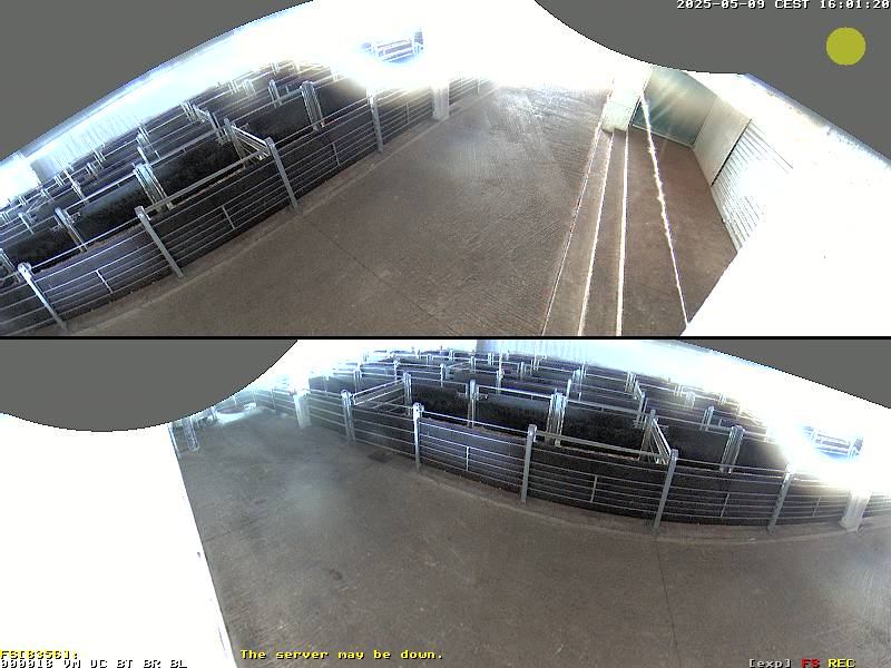 Camera Live Image