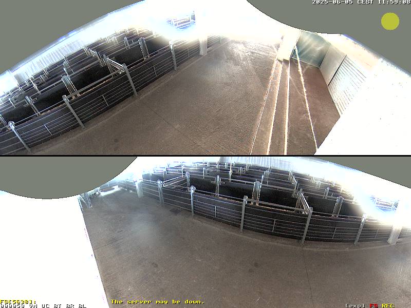 Camera Live Image